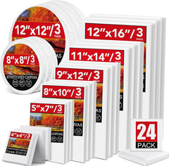 24 Pack Canvases for Painting with 6 Rectangular 2 Round sizes