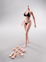 1/6 Scale Female Body,12inch Super Flexible Plump Body Type Female Figure wit…