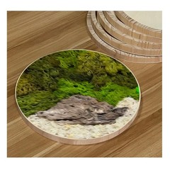6 Pack 14 Inch Round Wood Canvas Panels Unfinished Wooden Plates Round Wood C…