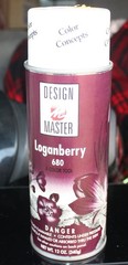 DESIGN MASTER Various Colors Colortool Spray Paint – SALE By The Can Actual Ship