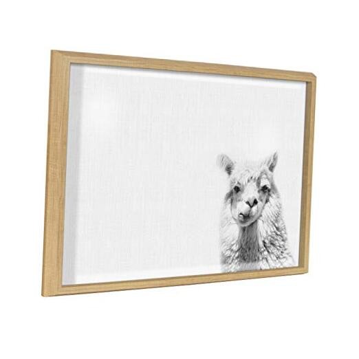 Blake Alpaca Portrait Horizontal Framed Printed Glass Wall Art and Dry Erase