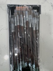 Transon 11pc Sable Watercolor Brush Set Gouache Artist Paint Brushes