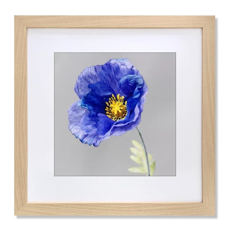 VNVNK 16×16 Frame Natural Wood Color, Perfect for 16×16 Inch Picture without …