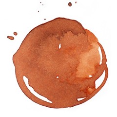 Professional Acrylic Ink 1-oz 30ml Jar Transparent Burnt Sienna