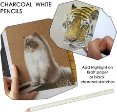 Artist-Approved White Charcoal Pencil Set for Sketching – 3 Piece Collection