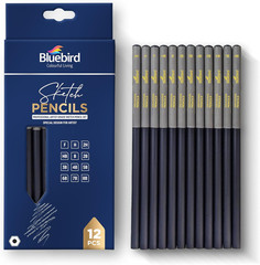 Sketch Pencils Set of 12 (2H–8B) – Drawing Pencils for Sketching, Art Supplies f