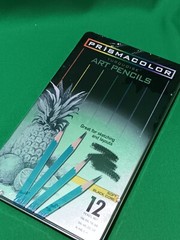 Sealed Prismacolor Turquoise Art Pencils Tin Set of 12, Great for Sketching