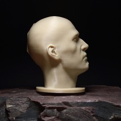 Planar Split Head (Male) – Portrait Drawing Sculpting Aid