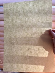 A4 Japanese Echizen Washi Paper 10 Sheets–Soft Sage Green Decorative Craft Paper