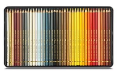 Caran d’Ache Pablo 80-Color Set 0666-380 [Genuine Japanese Product]