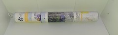 Paint by Numbers Kit by Violet Van Gogh- Polished Peacock