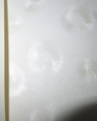 Decorative Short Grain Paper with Feathered Pattern Beautiful 6″ x 12″