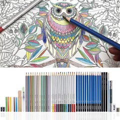 51pcs Professional Drawing Artist Kit Set Pencils and Sketch Charcoal Art & Bag