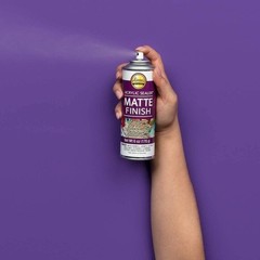 Clear Acrylic Spray Sealer Matte Finish Fast Drying Indoor Outdoor Crafts New