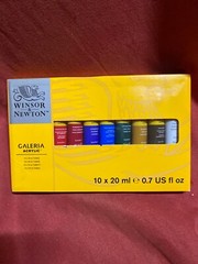 Winsor and Newton Galeria Acrylic Paint Set, 10 x 20ml/0.7 fl. oz. #418