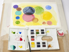 Winsor & Newton Professional Watercolor/Watercolour Field Set, 15pc