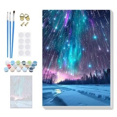 Christmas Paint by Numbers for Adults Beginners Aurora DIY Canvas Wall Art Set