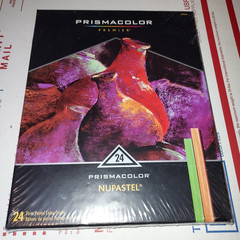 Prismacolor Premier NUPASTEL 24 Firm Pastel Color Sticks Box Opened Ununsed