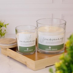 7oz Eucalyptus and Sage Scented Candle, Candles 4 inches x 3.75 inches, White