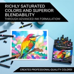 Alcohol-Based Ink Art Markers, Chisel and Fine Tips, 12 Pack