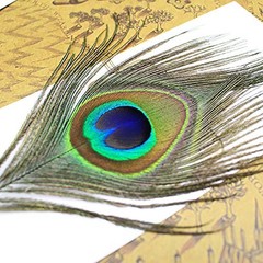 Vintage Peacock Feather Pen Set Antique Calligraphy Writing Quill Ink Dip Pen