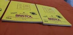 Lot of 3 New 20 Sheet Strathmore Bristol Weight Board Acid Free Art Paper LOOK!