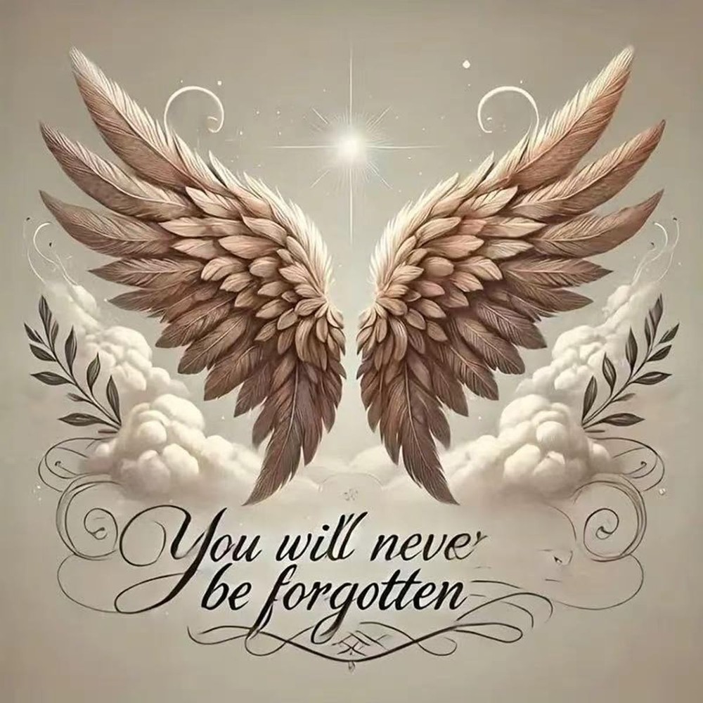 MBNTJHT Angel Wings Paint by Numbers Kit for 16X16Inch, MT22332