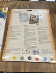 2 Paint By Number Kits Royal&Langnickel Garden Birds&Grafix Dinosaur