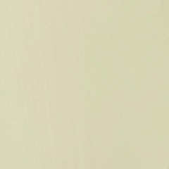 Liquitex BASICS Acrylic Paint, 118ml (4-oz) 4 Fl Oz (Pack of 1), Parchment