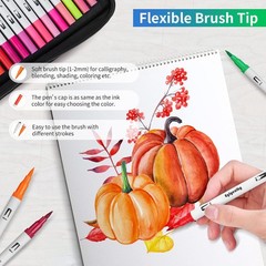 Dual Brush Art Markers with Fine Tip for Drawing Lettering Calligraphy