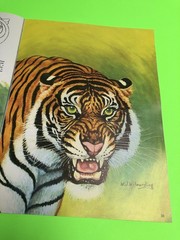 How To Draw And Paint Animal Expressions By Walter Wilwerding Walter Foster