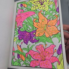 Adult Coloring Book Gel Pen Lot Paisley Mosaic Floral Geometric Anxiety Reducer