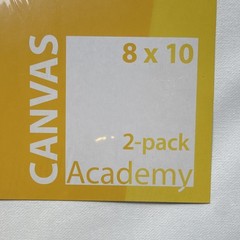 Premiere by Nicole Academy Series 8×10 Cotton Canvas Panel 2 Pack
