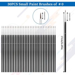 30 Pcs Tiny Detail Paint 17.5×0.45×0.45cm/6.9×0.18×0.18 inches, Black
