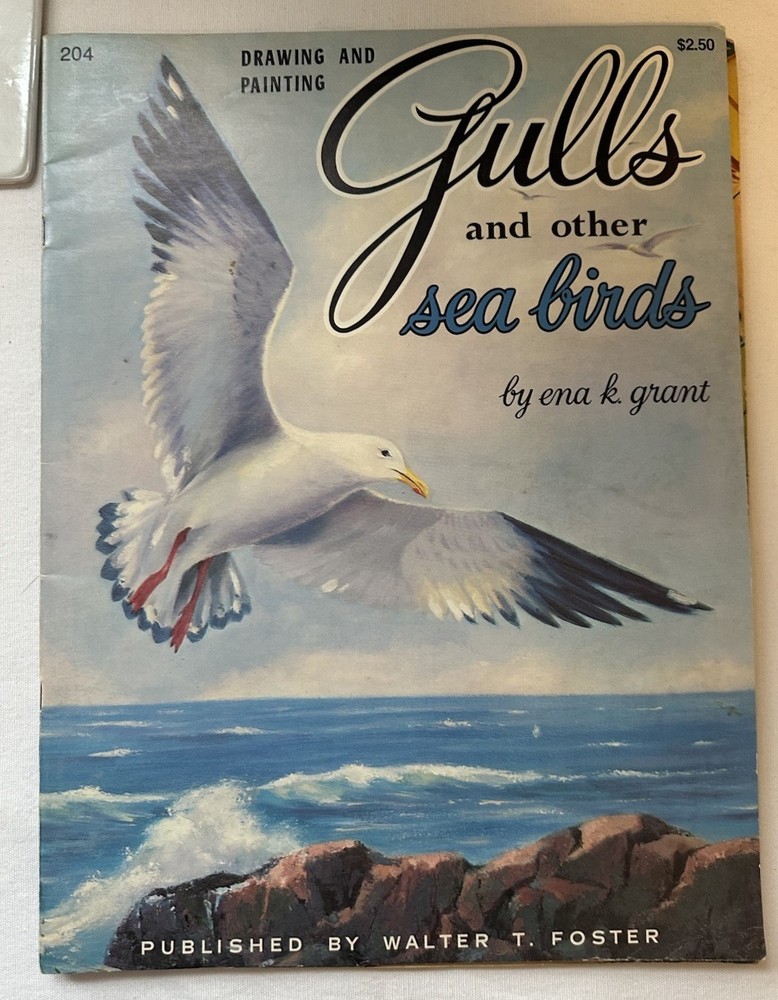 Vintage Drawing And Painting Gulls And Other Sea Birds Book By Ena K Grant