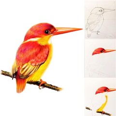 80pcs Drawing Kit Sketching Set Art Sketch Supplies Coloring pencils Kit 48 C…