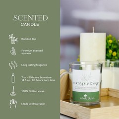 7oz Eucalyptus and Sage Scented Candle, Candles 4 inches x 3.75 inches, White