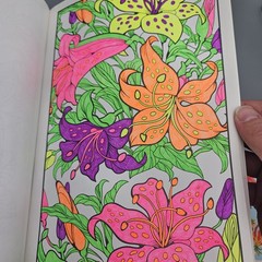 Adult Coloring Book Gel Pen Lot Paisley Mosaic Floral Geometric Anxiety Reducer