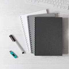 100 Pack 16 Mil Sand-Textured Polycover – Plastic Binding Cover for Letter Si…