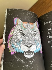 Adult Coloring Book Lot Mandalas & Jungle Designs-few pages used (see photos)