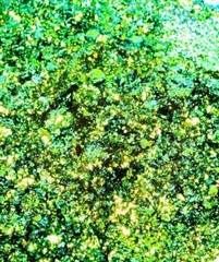 ULTRASHIFT CHAMELEON FLAKE – PISCIES