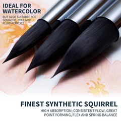 ARTEGRIA Watercolor Brush Set, 10 Professional Soft 10pcs set, Black –
