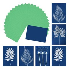 Cyanotype Paper, 32 Sheet Sun Print Paper Kit Green Crafts Paper 4.1×2.9″