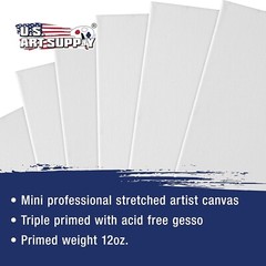3″ X 3″ Mini Professional Primed Stretched Canvas (1-Pack of 12