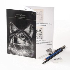 Prina 50 Pack Drawing Set Sketch Kit, Sketching Supplies with Multicolor