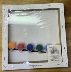 Tiny canvas paint and brush kit, Born to Shine, Sealed, NEW
