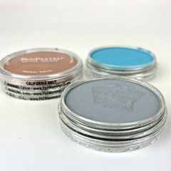 LOT 3 PANPASTEL TURQUOISE BURNT SIENNA GREY SHADE ARTIST PASTELS ULTRA SOFT ART