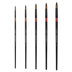 XDT#950 Round Tip Art Brush 5Pc #2#4#6#8#10 Horse Hair Acrylic Watercolor