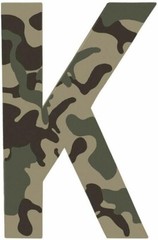 Reflective Olive Camouflage Paint, 11 oz. Ultra Flat for Interior/Exterior Use