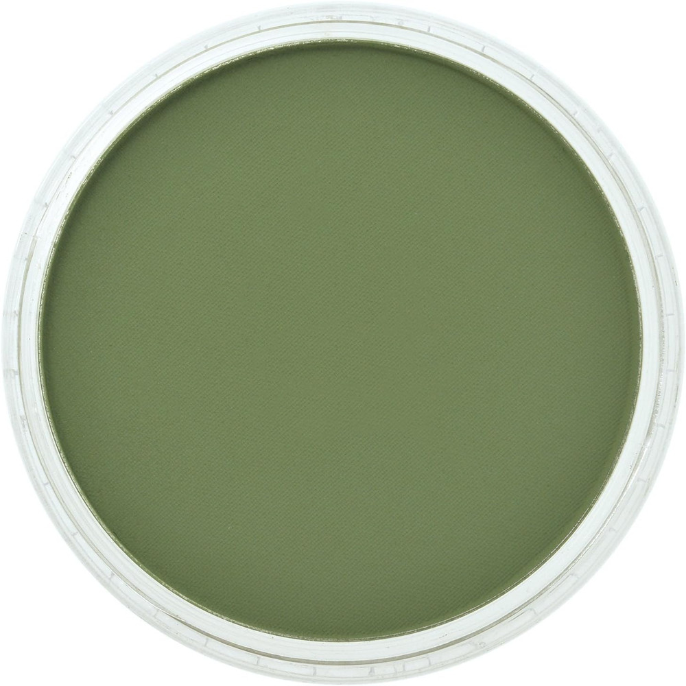 Ultra Soft Artist Pastel, Chromium Oxide Green Shade